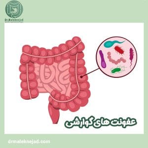 عفونت های گوارشی - دکتر عبدالباسط ملک نژاد 
